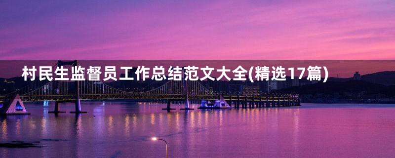 村民生监督员工作总结范文大全(精选17篇)