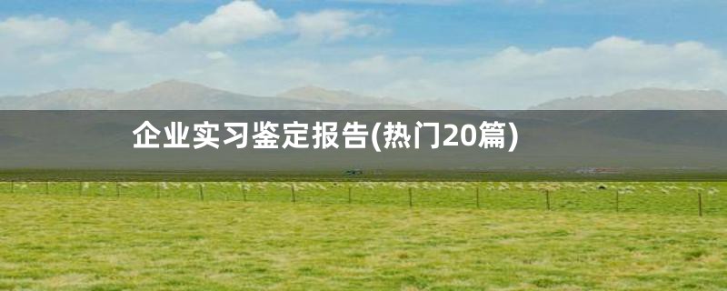 企业实习鉴定报告(热门20篇)