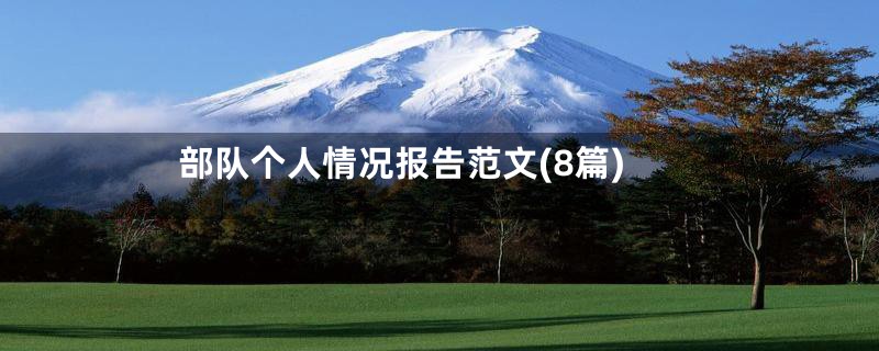 部队个人情况报告范文(8篇)