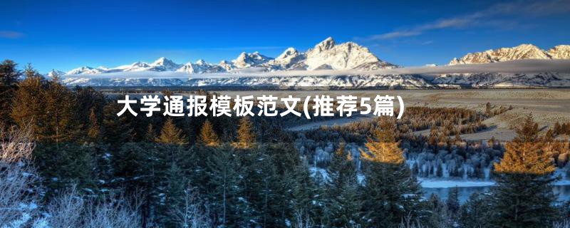 大学通报模板范文(推荐5篇)