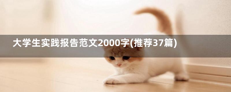 大学生实践报告范文2000字(推荐37篇)