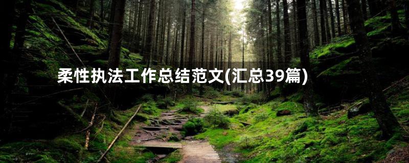 柔性执法工作总结范文(汇总39篇)