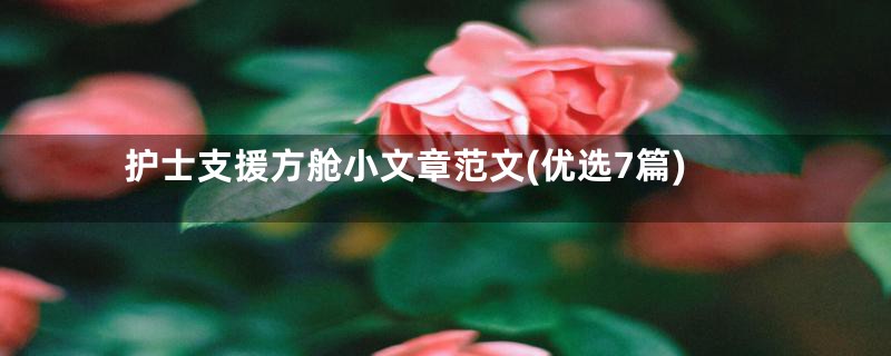 护士支援方舱小文章范文(优选7篇)