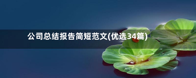 公司总结报告简短范文(优选34篇)