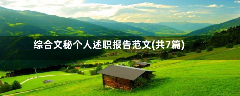 综合文秘个人述职报告范文(共7篇)