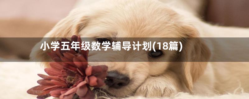 小学五年级数学辅导计划(18篇)