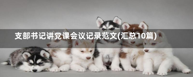 支部书记讲党课会议记录范文(汇总10篇)