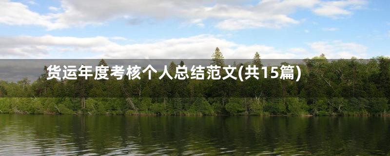 货运年度考核个人总结范文(共15篇)