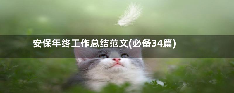 安保年终工作总结范文(必备34篇)