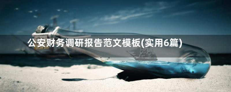 公安财务调研报告范文模板(实用6篇)