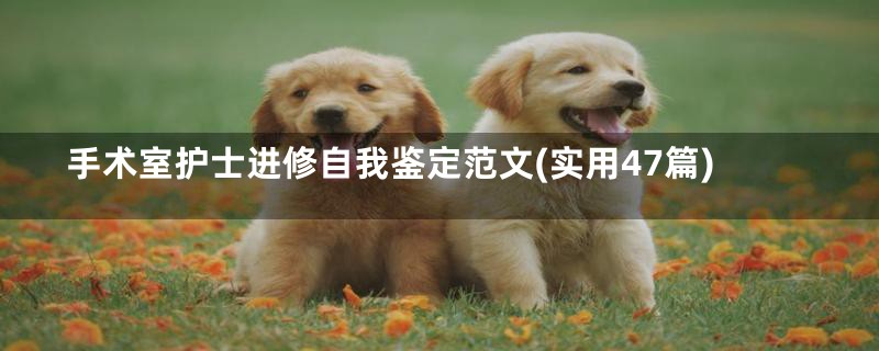 手术室护士进修自我鉴定范文(实用47篇)