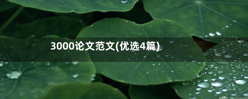 3000论文范文(优选4篇)