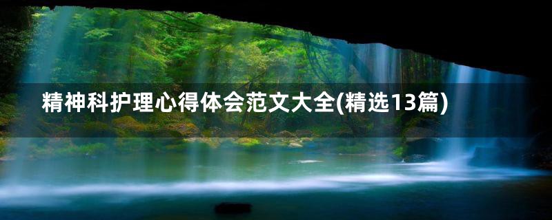 精神科护理心得体会范文大全(精选13篇)