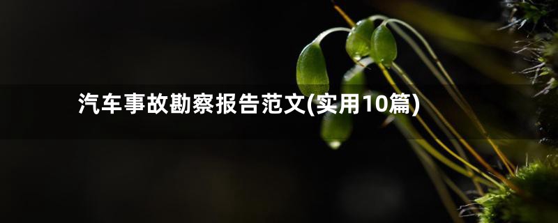 汽车事故勘察报告范文(实用10篇)