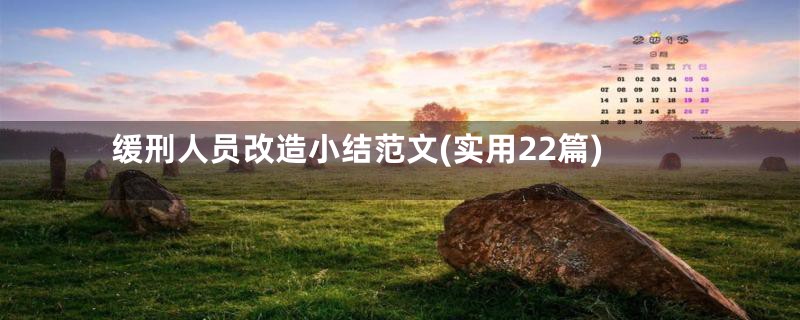 缓刑人员改造小结范文(实用22篇)