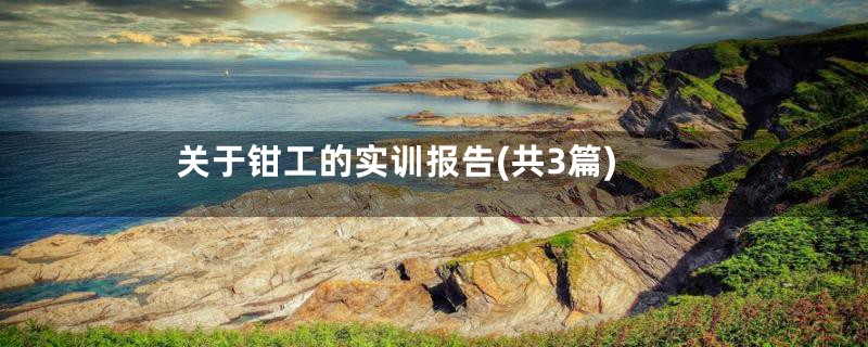 关于钳工的实训报告(共3篇)