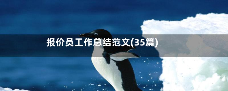 报价员工作总结范文(35篇)
