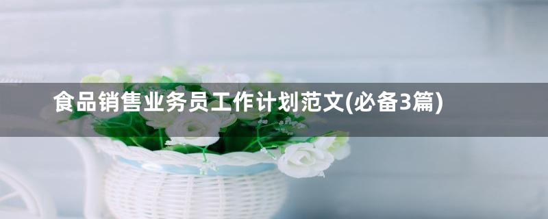 食品销售业务员工作计划范文(必备3篇)