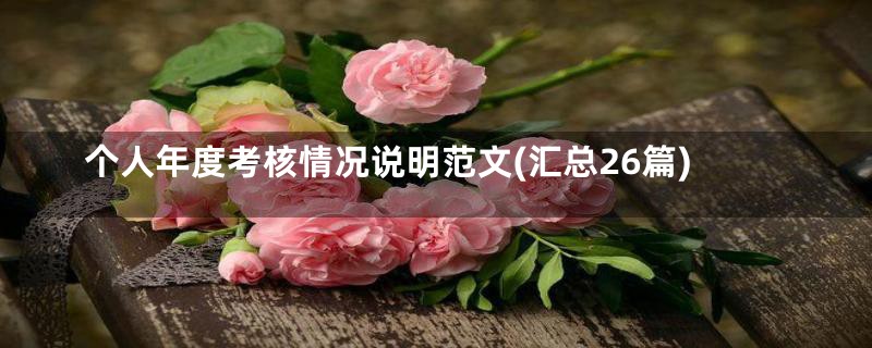 个人年度考核情况说明范文(汇总26篇)