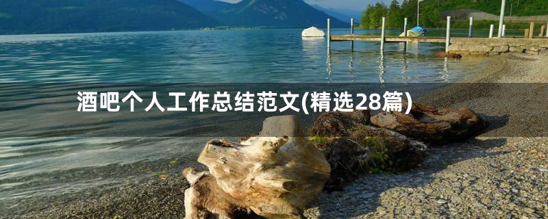酒吧个人工作总结范文(精选28篇)