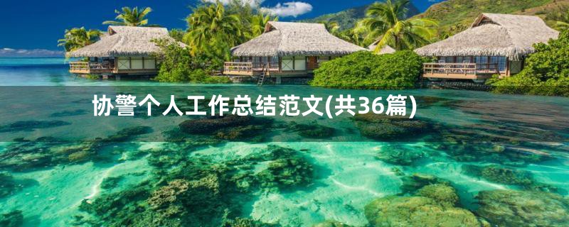 协警个人工作总结范文(共36篇)
