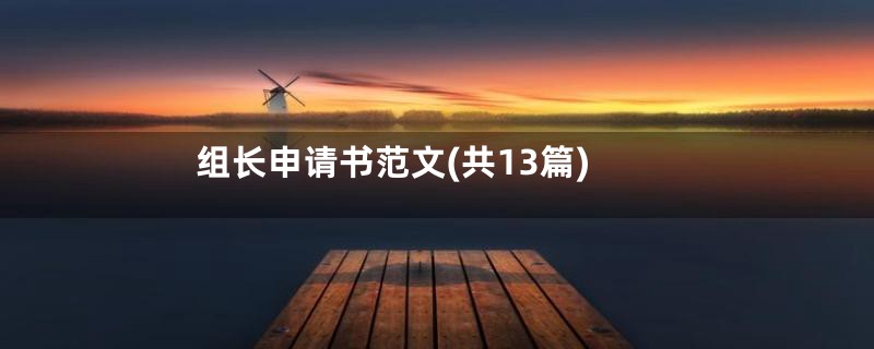 组长申请书范文(共13篇)