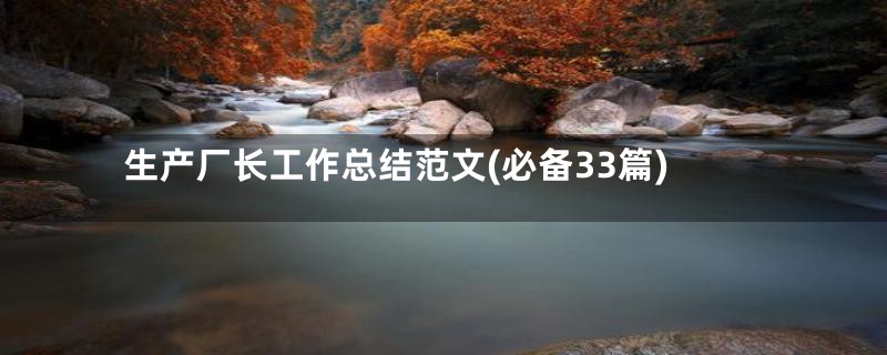 生产厂长工作总结范文(必备33篇)