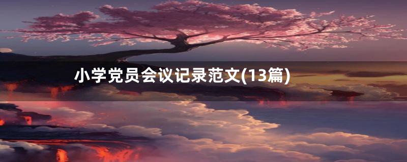 小学党员会议记录范文(13篇)