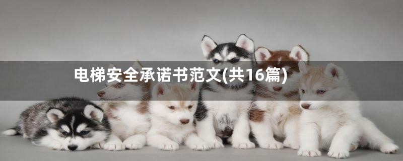电梯安全承诺书范文(共16篇)