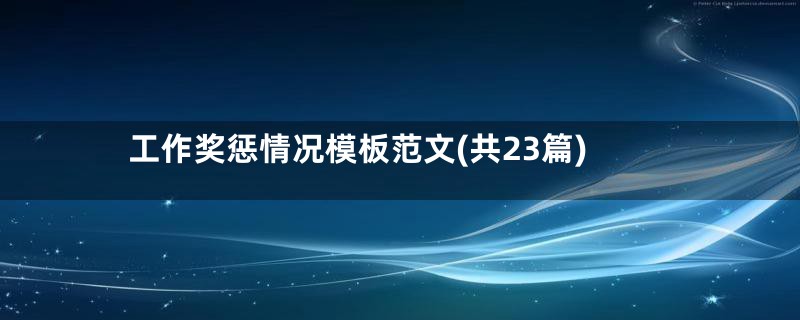 工作奖惩情况模板范文(共23篇)
