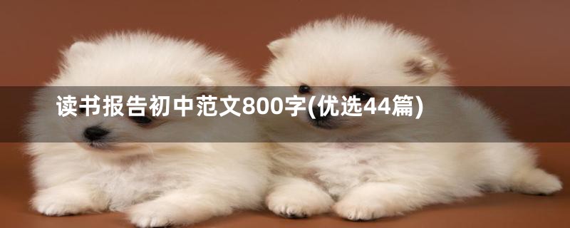 读书报告初中范文800字(优选44篇)