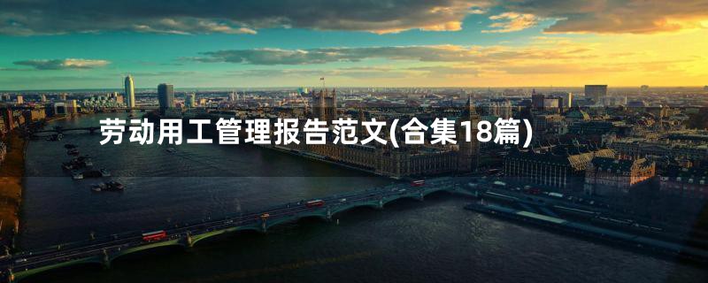劳动用工管理报告范文(合集18篇)