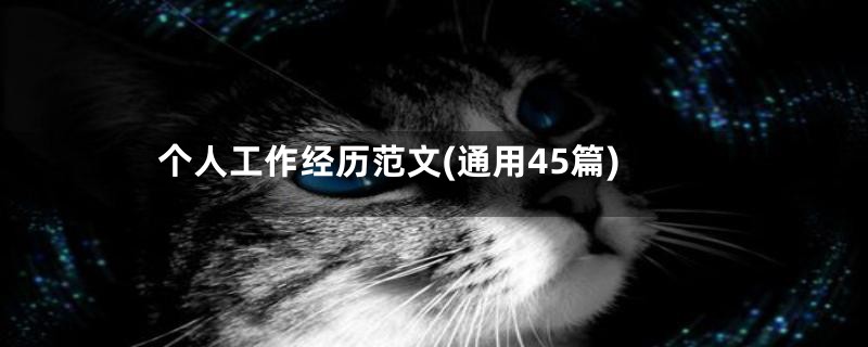 个人工作经历范文(通用45篇)