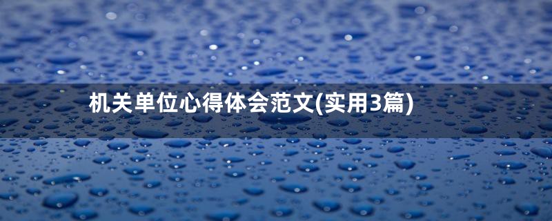 机关单位心得体会范文(实用3篇)