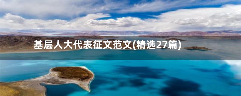 基层人大代表征文范文(精选27篇)