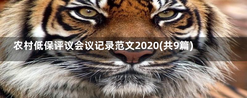 农村低保评议会议记录范文2020(共9篇)