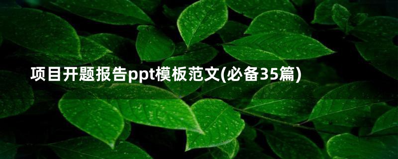 项目开题报告ppt模板范文(必备35篇)