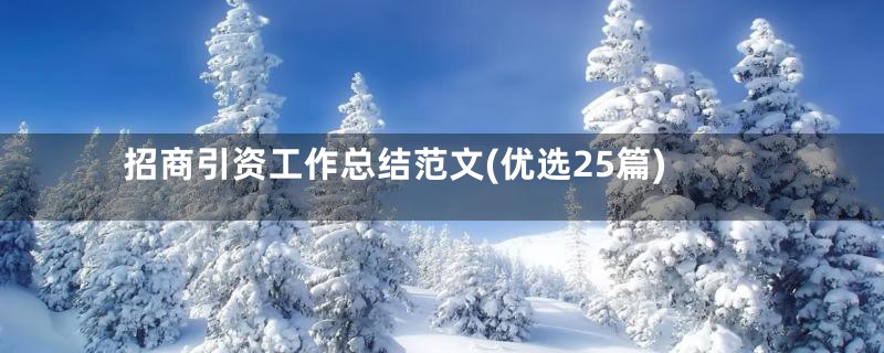招商引资工作总结范文(优选25篇)