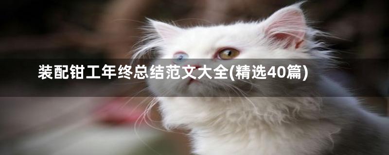 装配钳工年终总结范文大全(精选40篇)