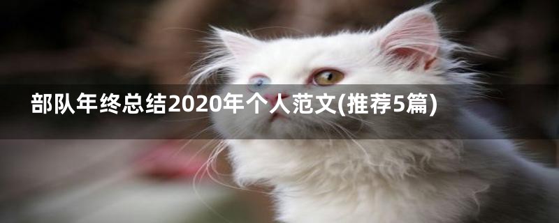 部队年终总结2020年个人范文(推荐5篇)