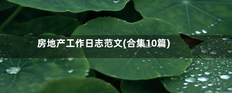 房地产工作日志范文(合集10篇)