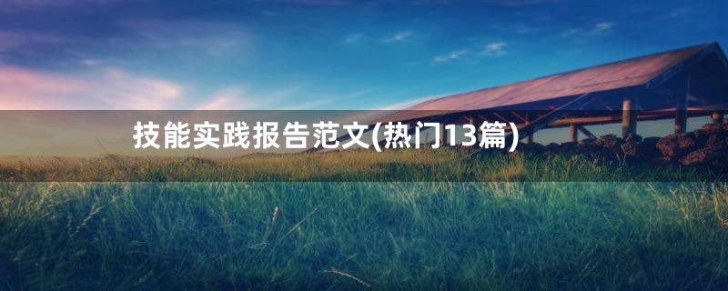 技能实践报告范文(热门13篇)