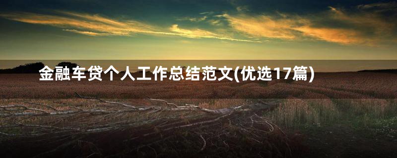 金融车贷个人工作总结范文(优选17篇)