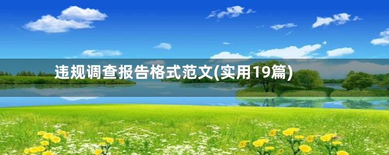 违规调查报告格式范文(实用19篇)