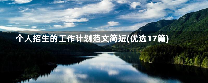 个人招生的工作计划范文简短(优选17篇)