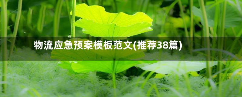 物流应急预案模板范文(推荐38篇)