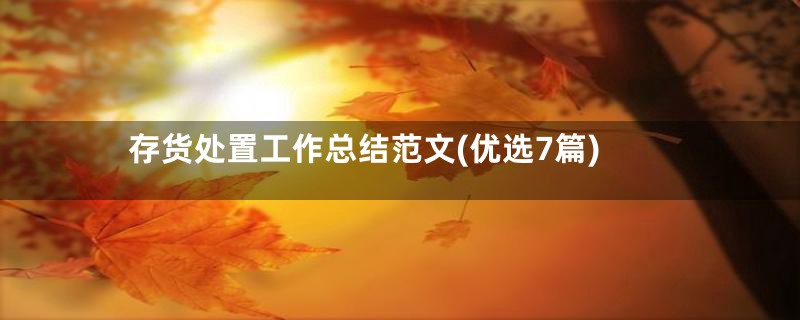 存货处置工作总结范文(优选7篇)