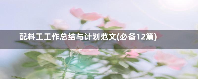 配料工工作总结与计划范文(必备12篇)