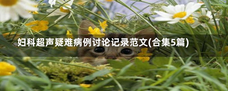 妇科超声疑难病例讨论记录范文(合集5篇)