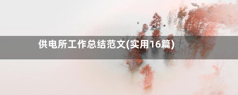 供电所工作总结范文(实用16篇)